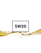 5W20